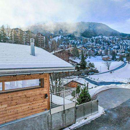 Chalet Les Penguins By Interhome น็องดัช ภายนอก รูปภาพ